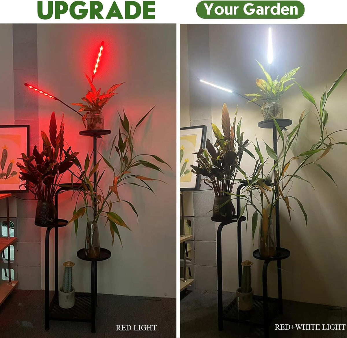 Tall 5-Tier Plant Stand Indoor with Adjustable Grow Light, Black